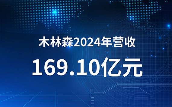 木林森发布2024年度报告
